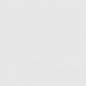 placeholder placeholder